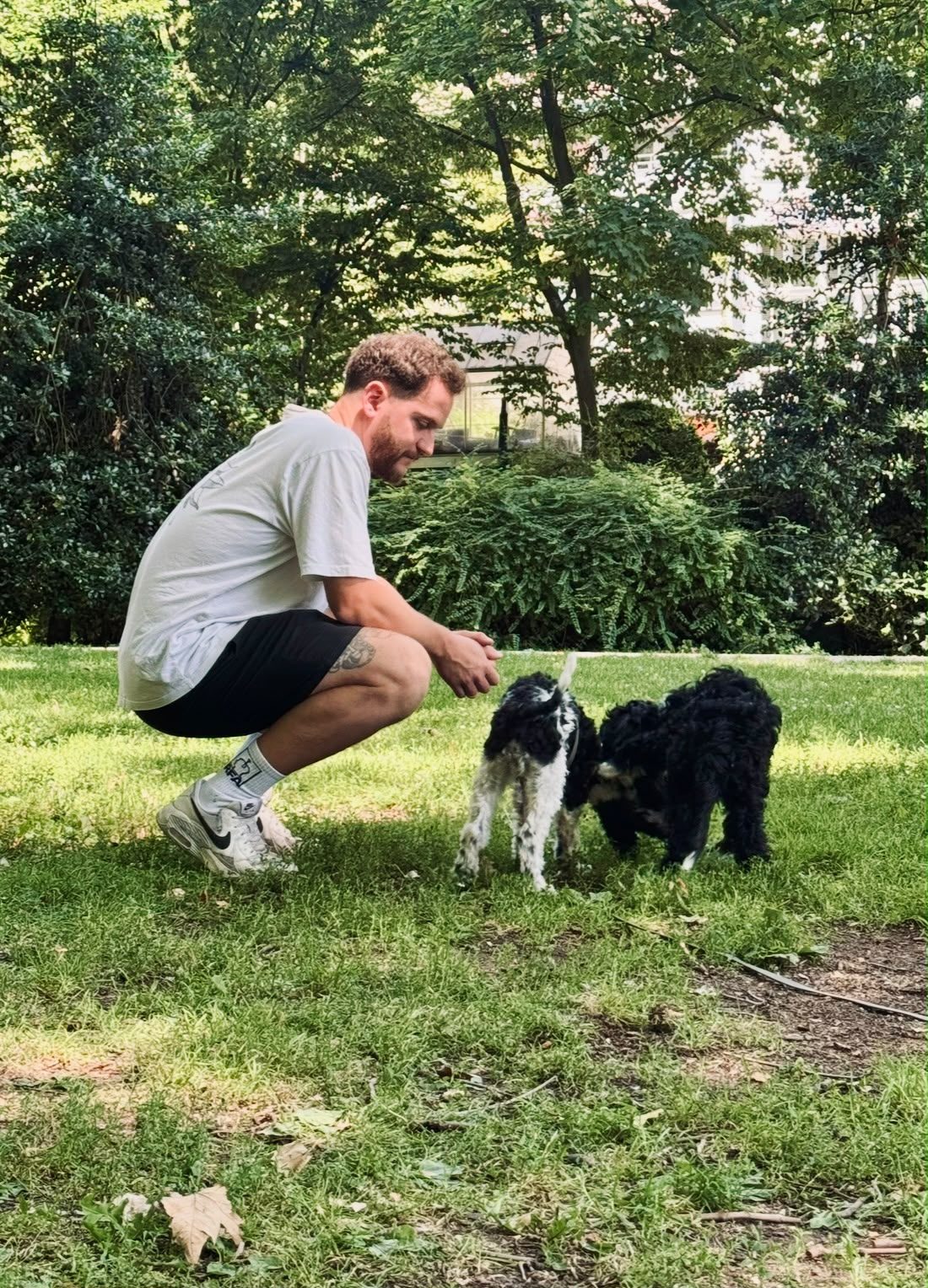 Luis hockend im Park mit zwei Hunden